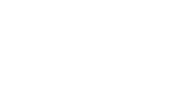Diamond India Logo